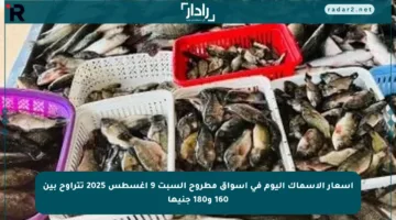 أسعار الأسماك اليوم في أسواق مطروح السبت 9 أغسطس 2025 تتراوح بين 160 و180 جنيها
